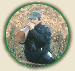 Moose Call