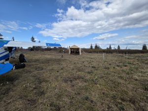 Alaska Moose Camp.